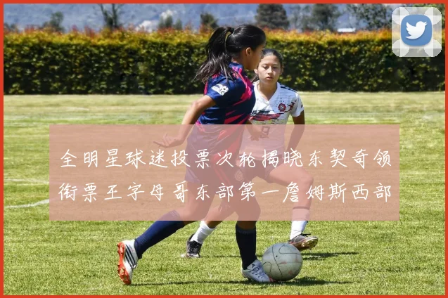 全明星球迷投票次轮揭晓东契奇领衔票王字母哥东部第一詹姆斯西部第八