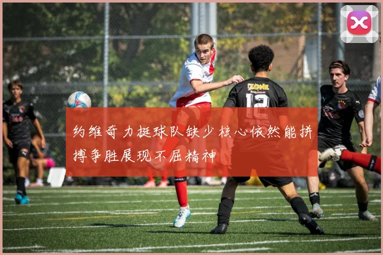 约维奇力挺球队缺少核心依然能拼搏争胜展现不屈精神